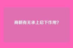 商朝有无承上启下作用？
