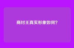 商纣王真实形象如何？