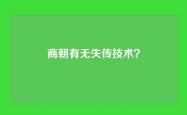 商朝有无失传技术？