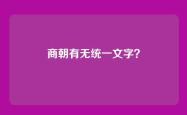 商朝有无统一文字？