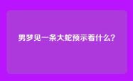 男梦见一条大蛇预示着什么？