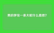 男的梦见一条大蛇什么意思？