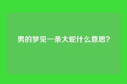 男的梦见一条大蛇什么意思？