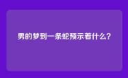 男的梦到一条蛇预示着什么？