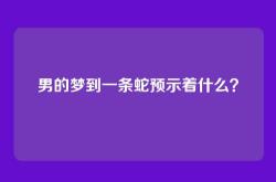 男的梦到一条蛇预示着什么？