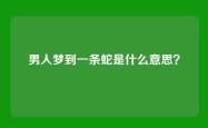 男人梦到一条蛇是什么意思？