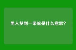 男人梦到一条蛇是什么意思？
