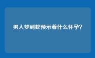 男人梦到蛇预示着什么怀孕？