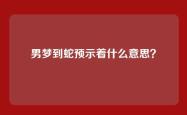 男梦到蛇预示着什么意思？
