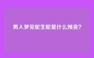 男人梦见蛇生蛇是什么预兆？