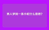 男人梦到一条小蛇什么意思？