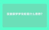 夜里做梦梦见蛇是什么意思？