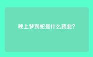 晚上梦到蛇是什么预兆？