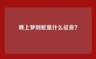 晚上梦到蛇是什么征兆？