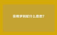 夜晚梦到蛇什么意思？