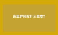 夜里梦到蛇什么意思？