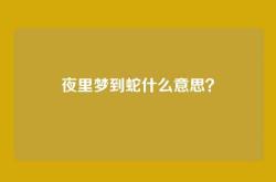 夜里梦到蛇什么意思？