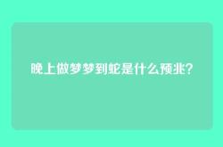 晚上做梦梦到蛇是什么预兆？