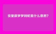 夜里做梦梦到蛇是什么意思？