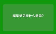 睡觉梦见蛇什么意思？