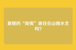 夏朝的“阳夷”居住在山南水北吗？