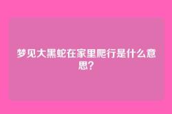 梦见大黑蛇在家里爬行是什么意思？