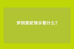 梦到黑蛇预示着什么？