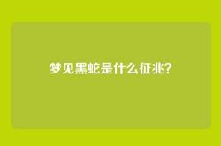 梦见黑蛇是什么征兆？