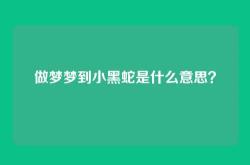 做梦梦到小黑蛇是什么意思？