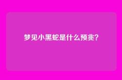 梦见小黑蛇是什么预兆？