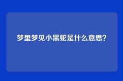 梦里梦见小黑蛇是什么意思？