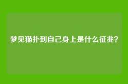 梦见猫扑到自己身上是什么征兆？
