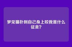 梦见猫扑到自己身上咬我是什么征兆？