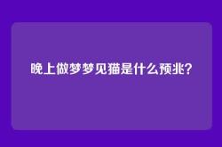 晚上做梦梦见猫是什么预兆？