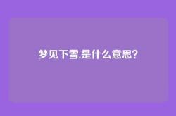 梦见下雪,是什么意思？