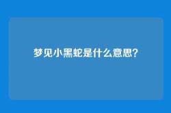 梦见小黑蛇是什么意思？