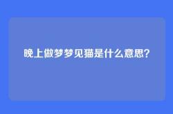 晚上做梦梦见猫是什么意思？