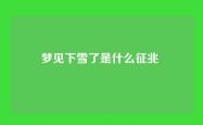 梦见下雪了是什么征兆 