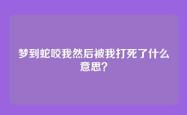 梦到蛇咬我然后被我打死了什么意思？