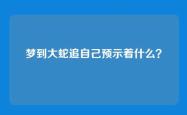 梦到大蛇追自己预示着什么？