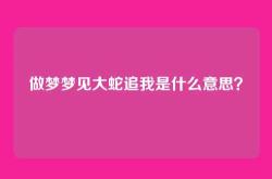 做梦梦见大蛇追我是什么意思？