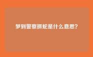梦到警察抓蛇是什么意思？