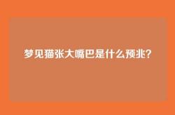 梦见猫张大嘴巴是什么预兆？