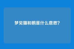 梦见猫和鹅是什么意思？