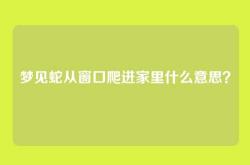 梦见蛇从窗口爬进家里什么意思？