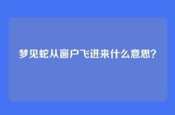 梦见蛇从窗户飞进来什么意思？