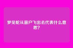 梦见蛇从窗户飞出去代表什么意思？