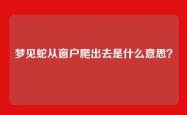 梦见蛇从窗户爬出去是什么意思？