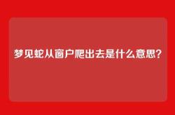 梦见蛇从窗户爬出去是什么意思？