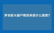 梦见蛇从窗户爬进来是什么意思？